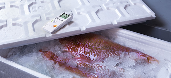Temperaturkontrolle bei frischen Fisch