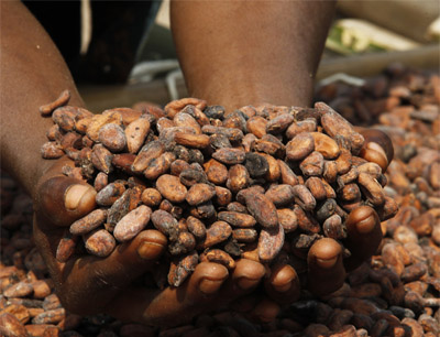 Kakao Fairtrade