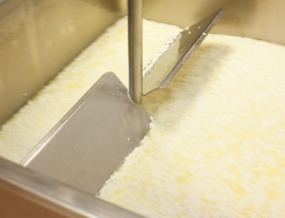 GEA erweitert sein Technologieportfolio für Käseherstellung
