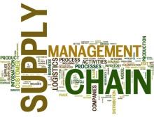 Global Supply Chain Survey 2013