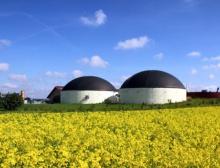 Biogasanlage und Rapsfeld