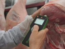 Mit dem Handmessgerät Freshdetect BFD-100 lässt sich eine bakterielle Verunreinigung von Frischfleisch in Echtzeit feststellen