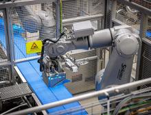 Die hygienegerechten Stäubli Roboter verpacken pro Stunde bis zu 5,5 Tonnen Käse
