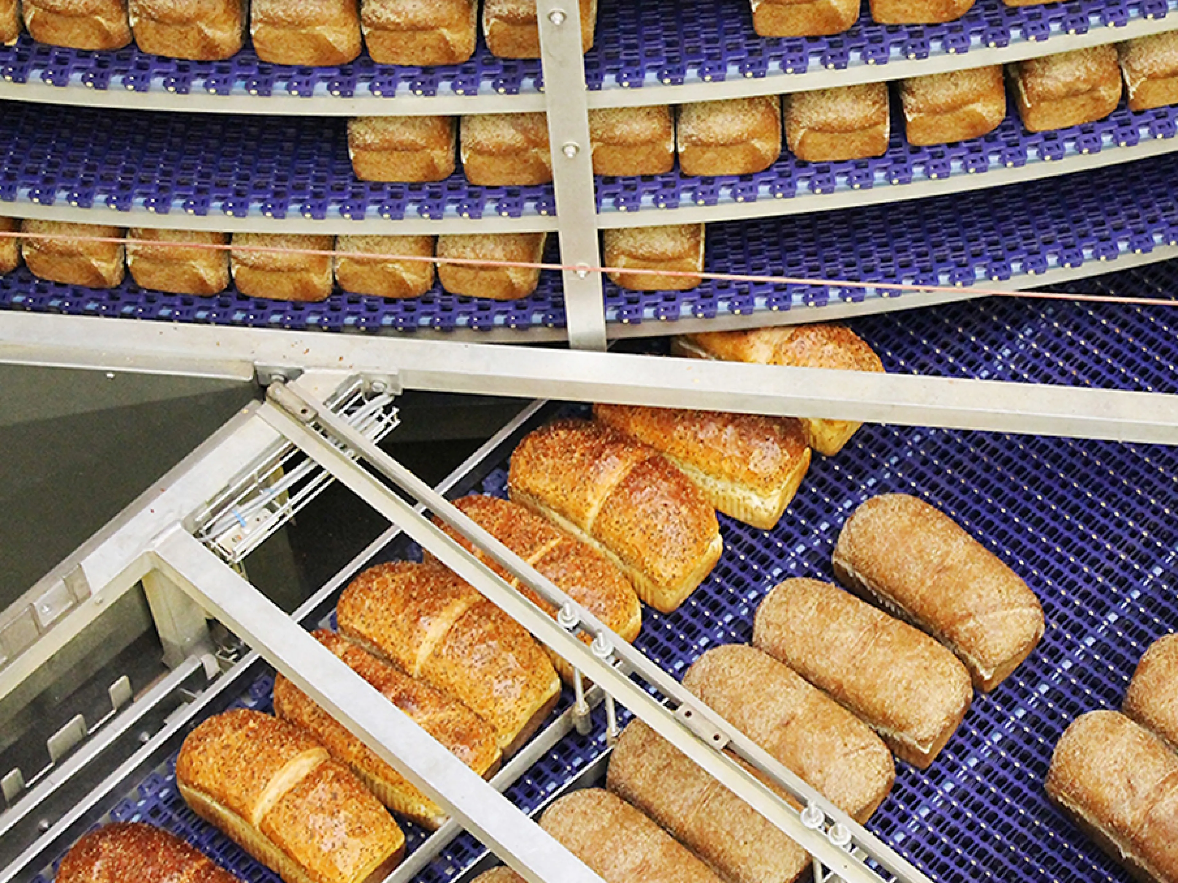 Transportbänder von Habasit mit effizienten Reinigungsverfahren für die Backindustrie