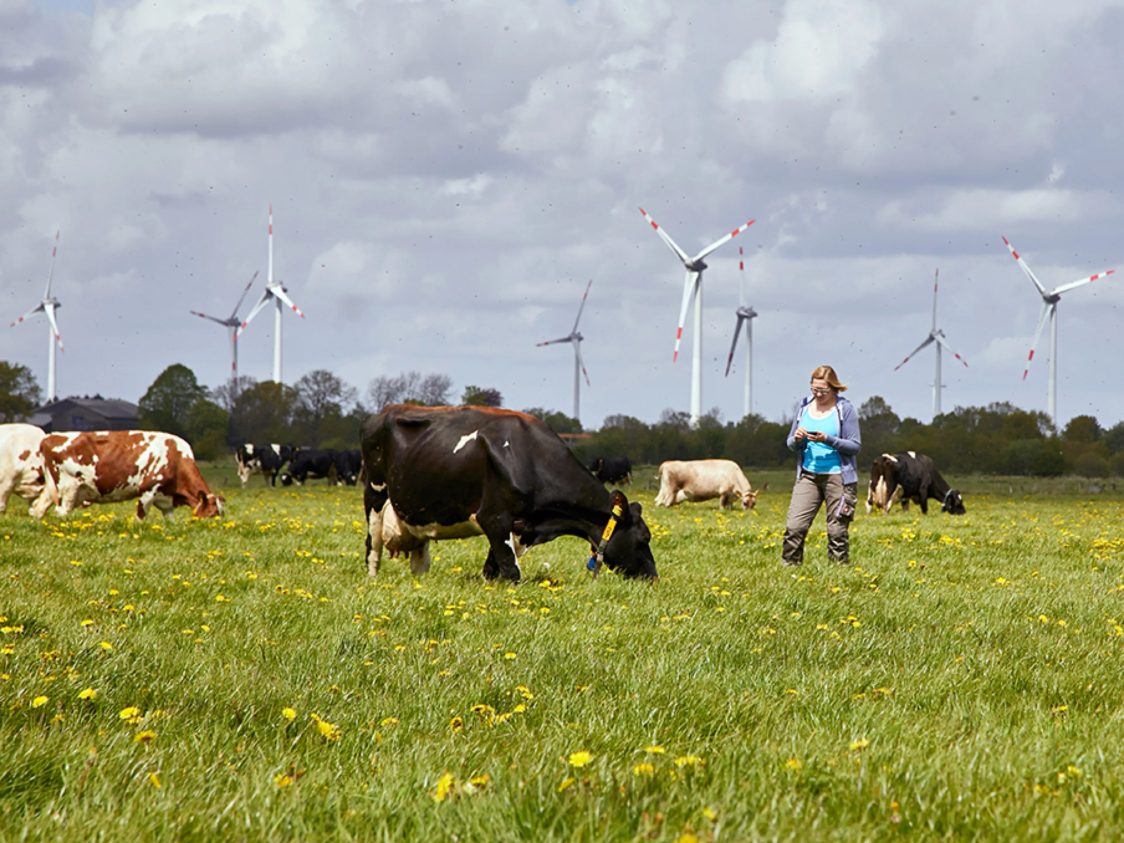 Die Molkereigenossenschaft Arla feiert 2025 ihr 25-jähriges Bestehen