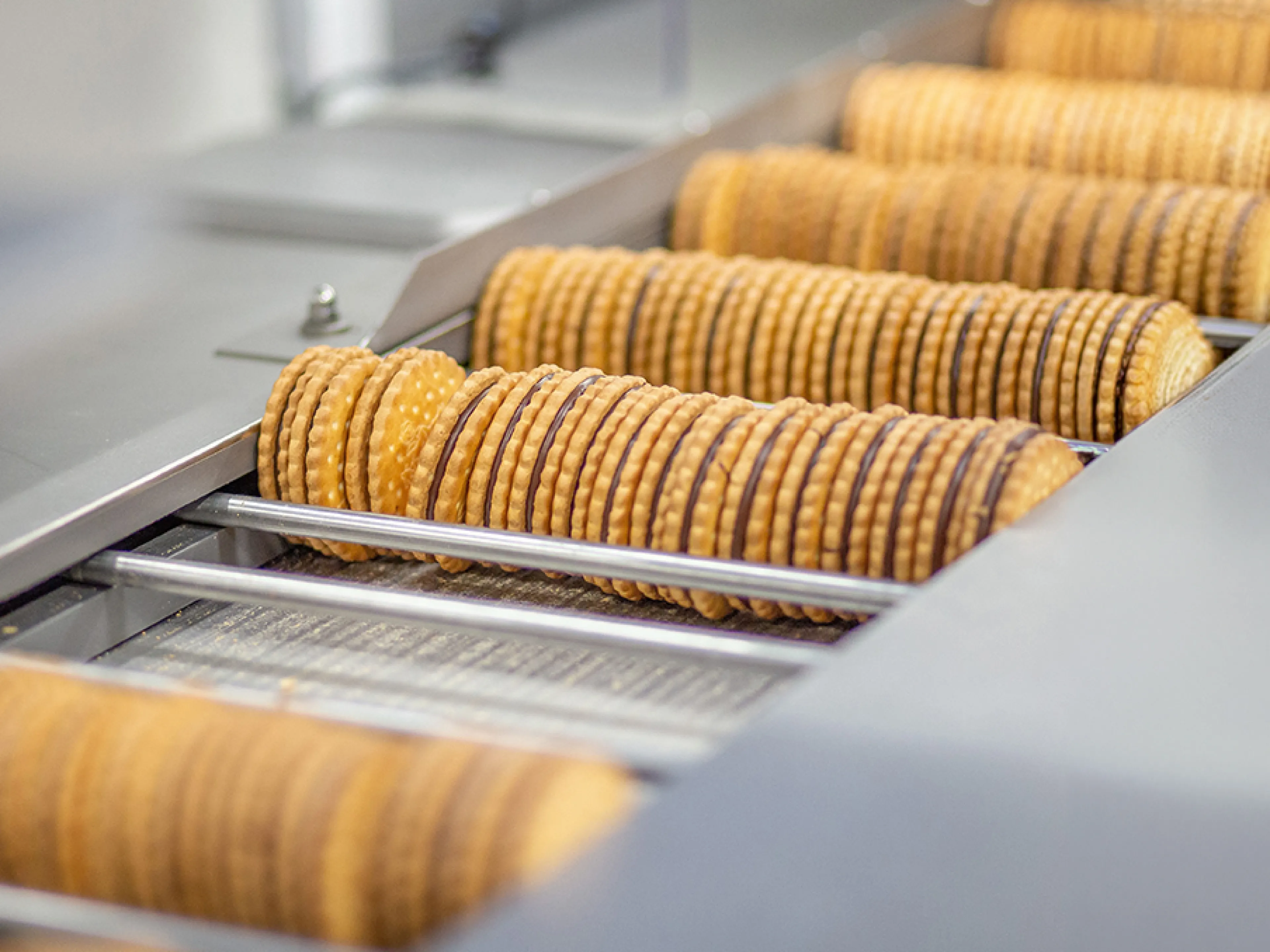 Mit dem ersten Spatenstich für die Erweiterung des Standorts Wurzen realisiert Griesson - de Beukelaer eine zukunftsweisende Investitionvon mehr als 100 Millionen Euro und treibt den bereits vorhandenen hohen Automatisierungsgrad weiter voran