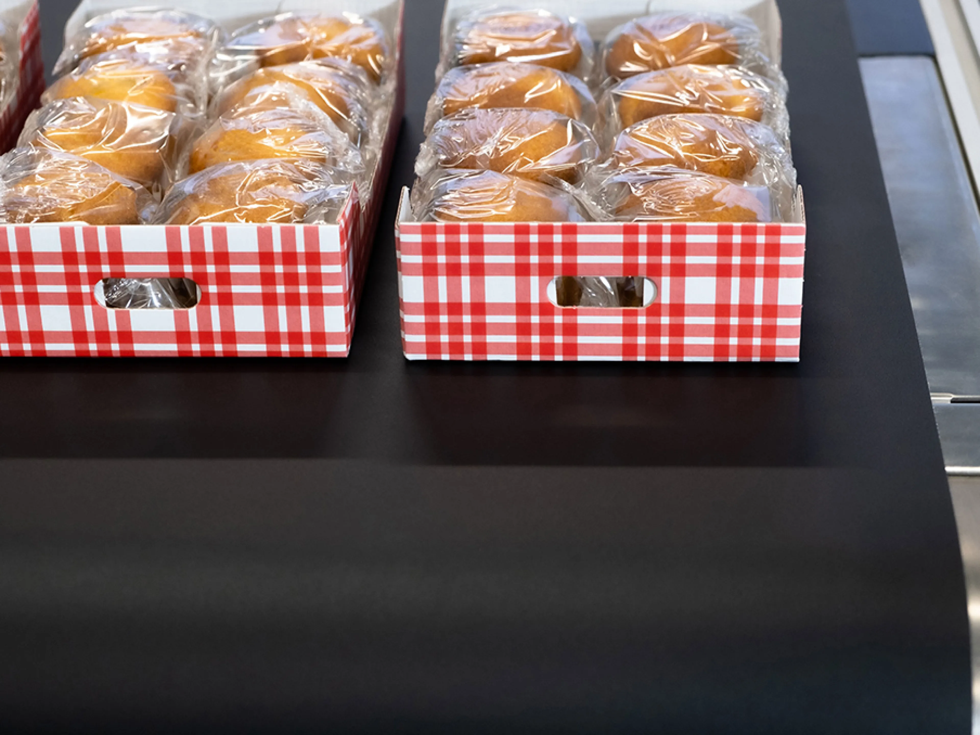 Transportbänder und Zahnriemen für den nachhaltigen und energieeffizienten Einsatz in der Logistik