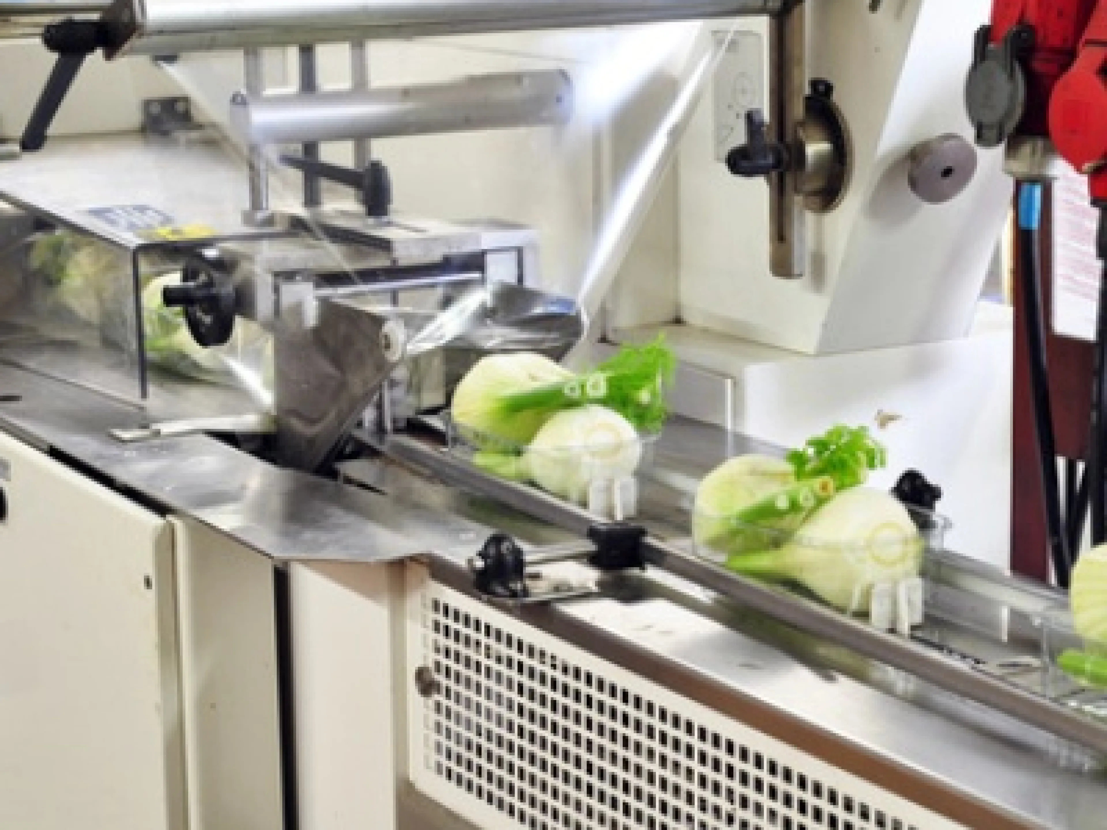 Hygienic Design in der Lebensmittelproduktion