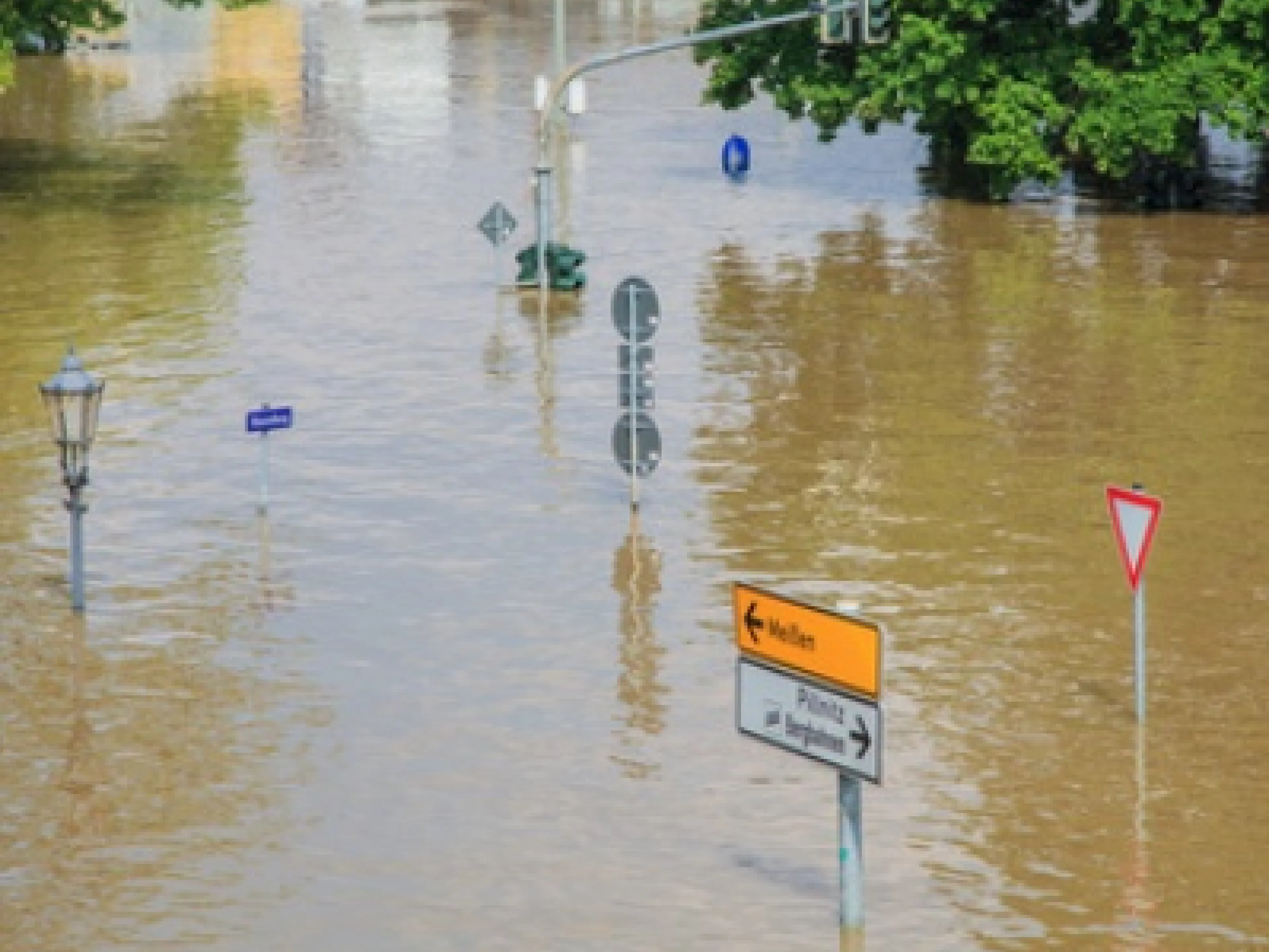 Hochwasserregion in der Nähe von Meißen, Bild: marog-pixcells - Fotolia.com Hochwasser in Sachsen