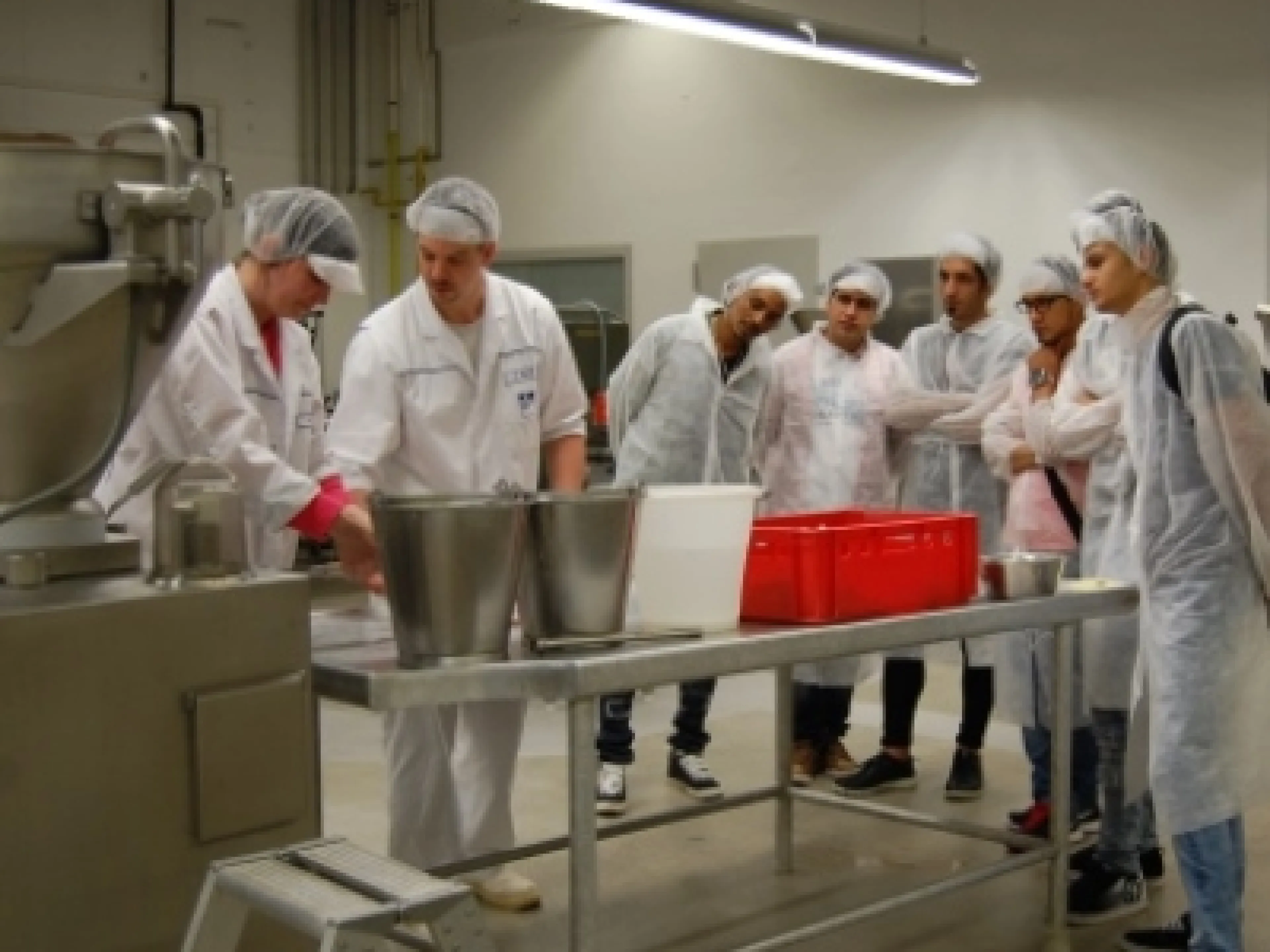 Am KIN startet das Pilotprojekt “Qualifizierter Lebensmittelpraktiker"
