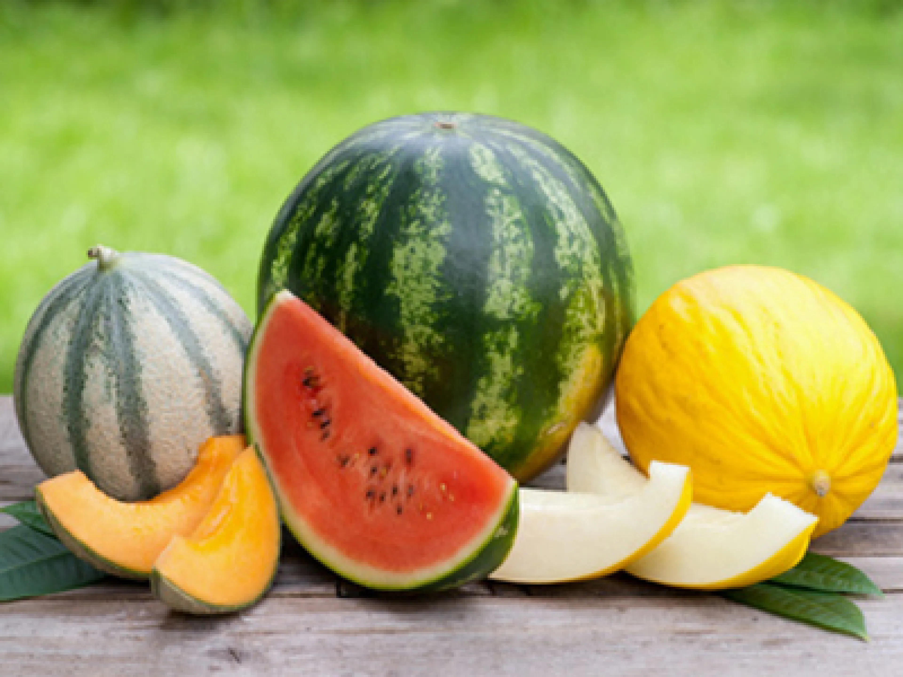 Melonen