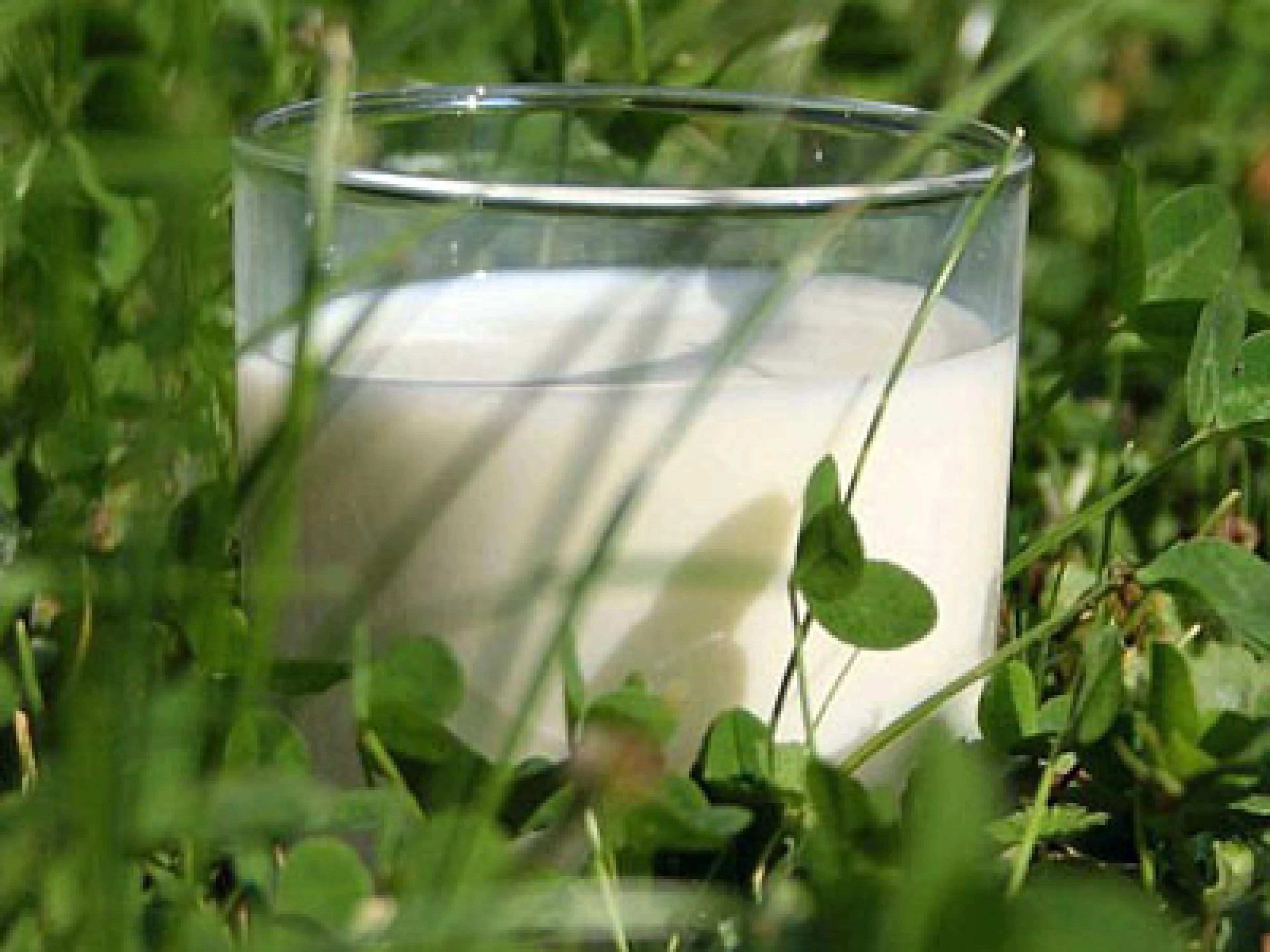 Milch von Arla