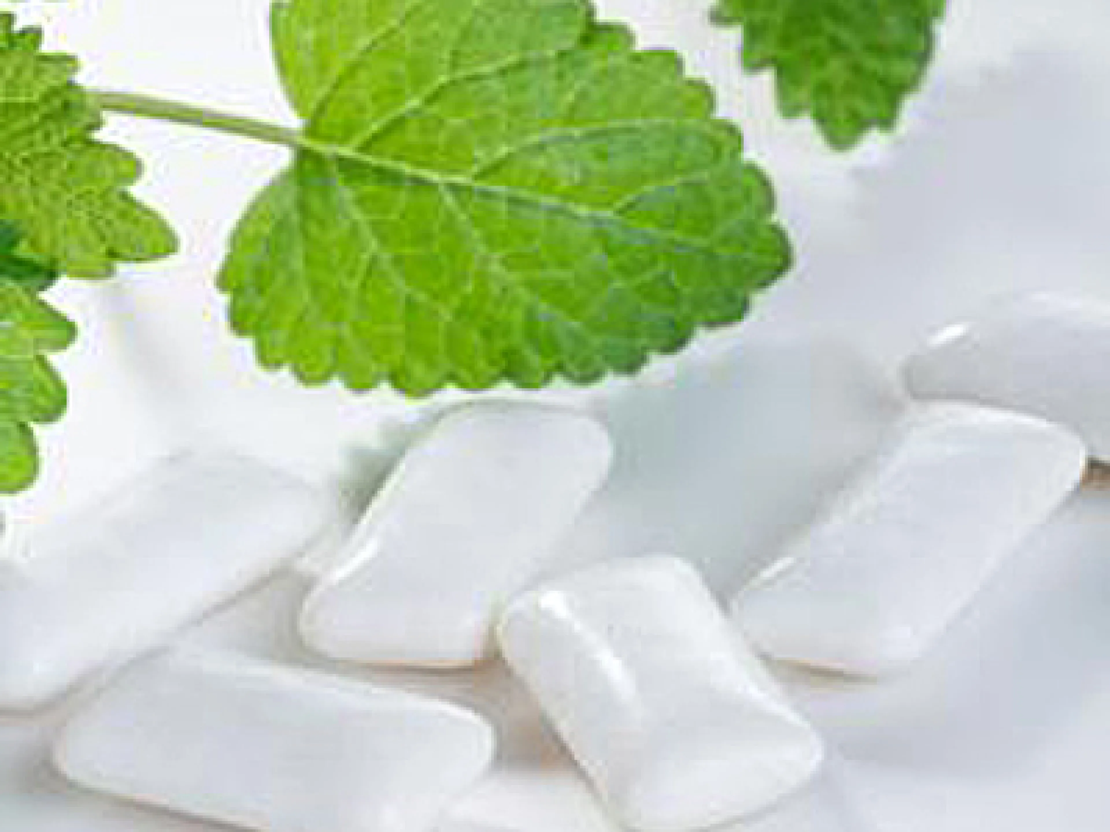 Menthol