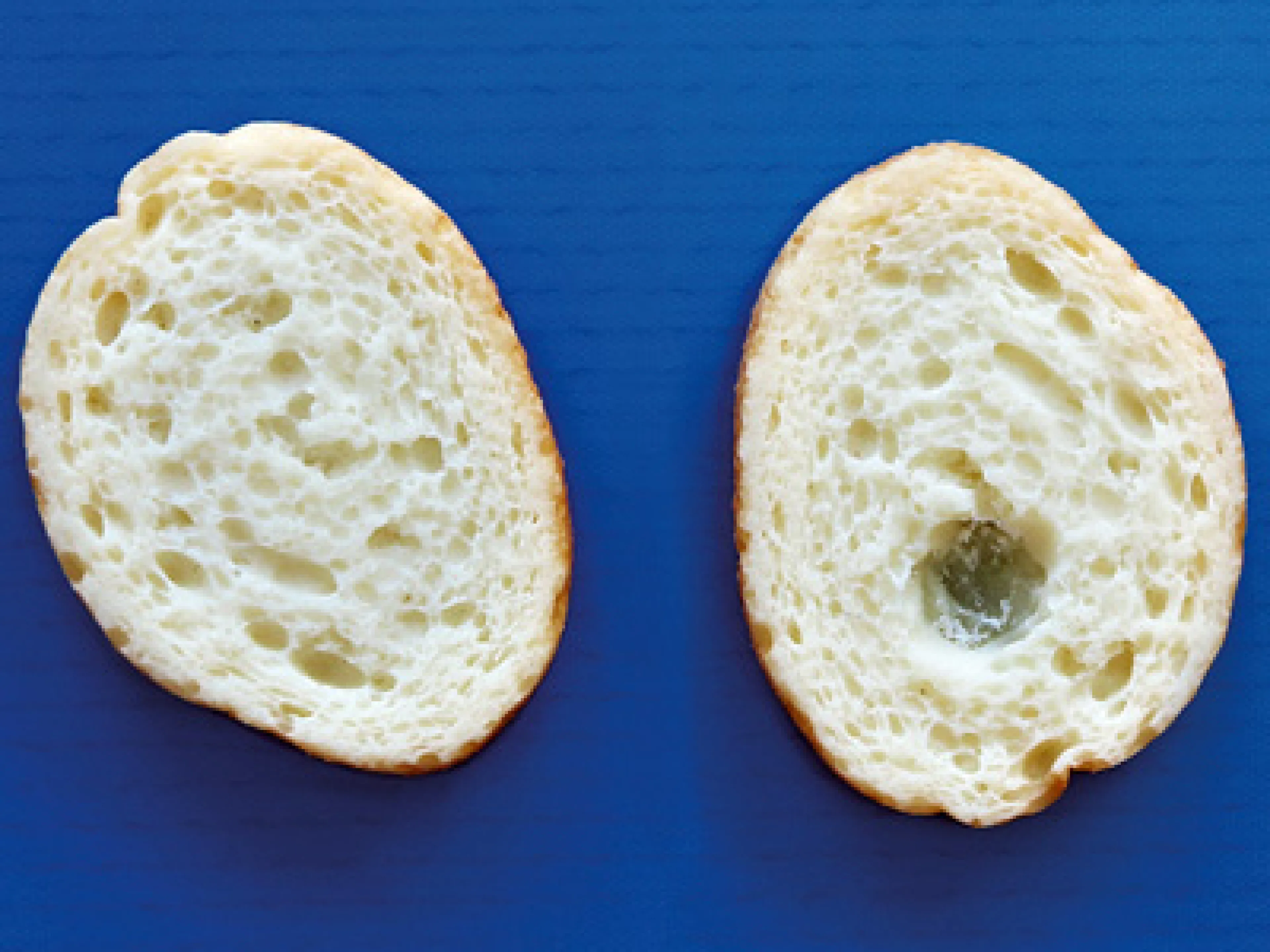 Brotscheiben