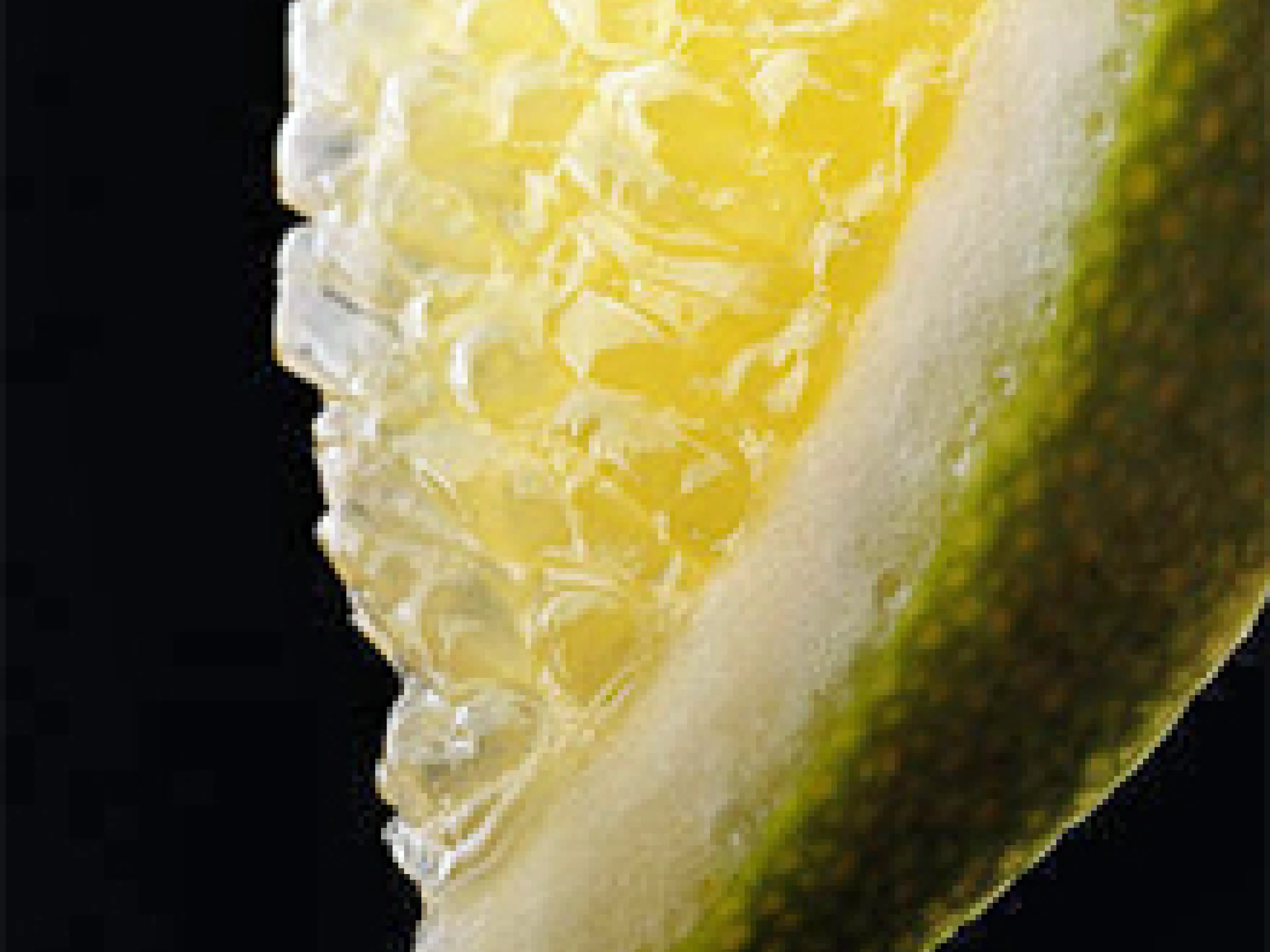 Fruchtfleisch in Getränken