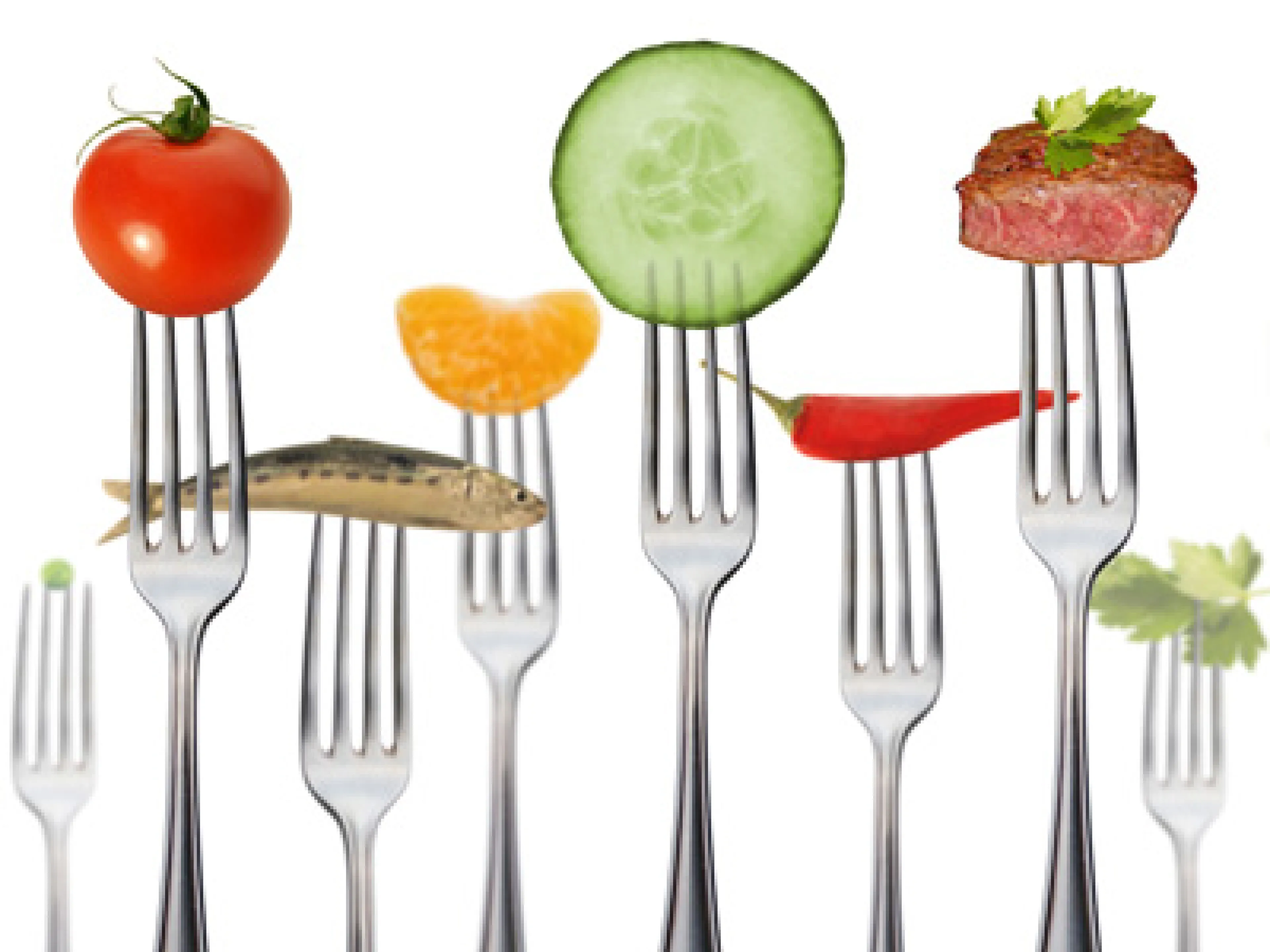 LMV-online.de feiert Geburtstag