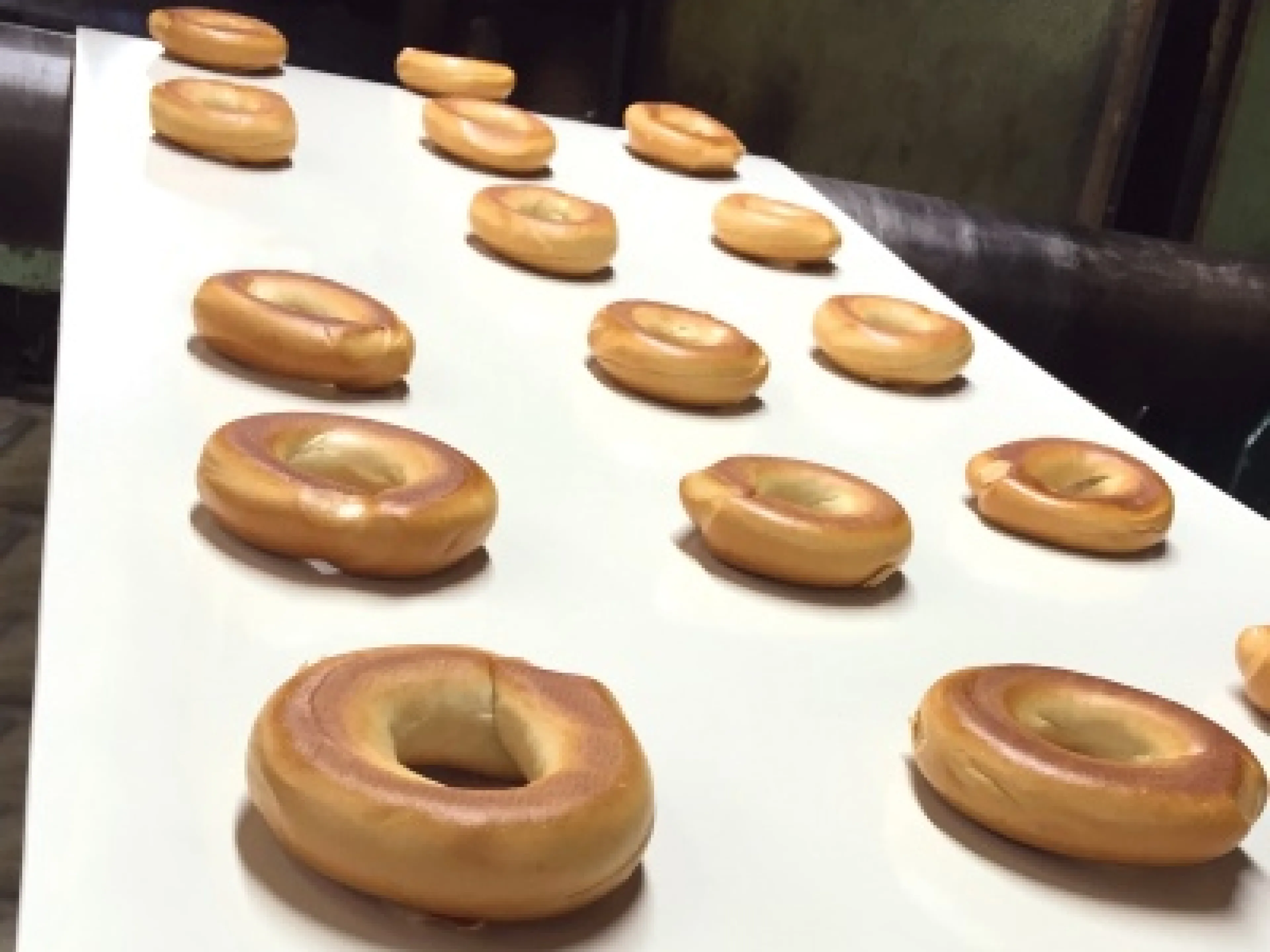 Fördergurte mit einer weißen Deckplatte