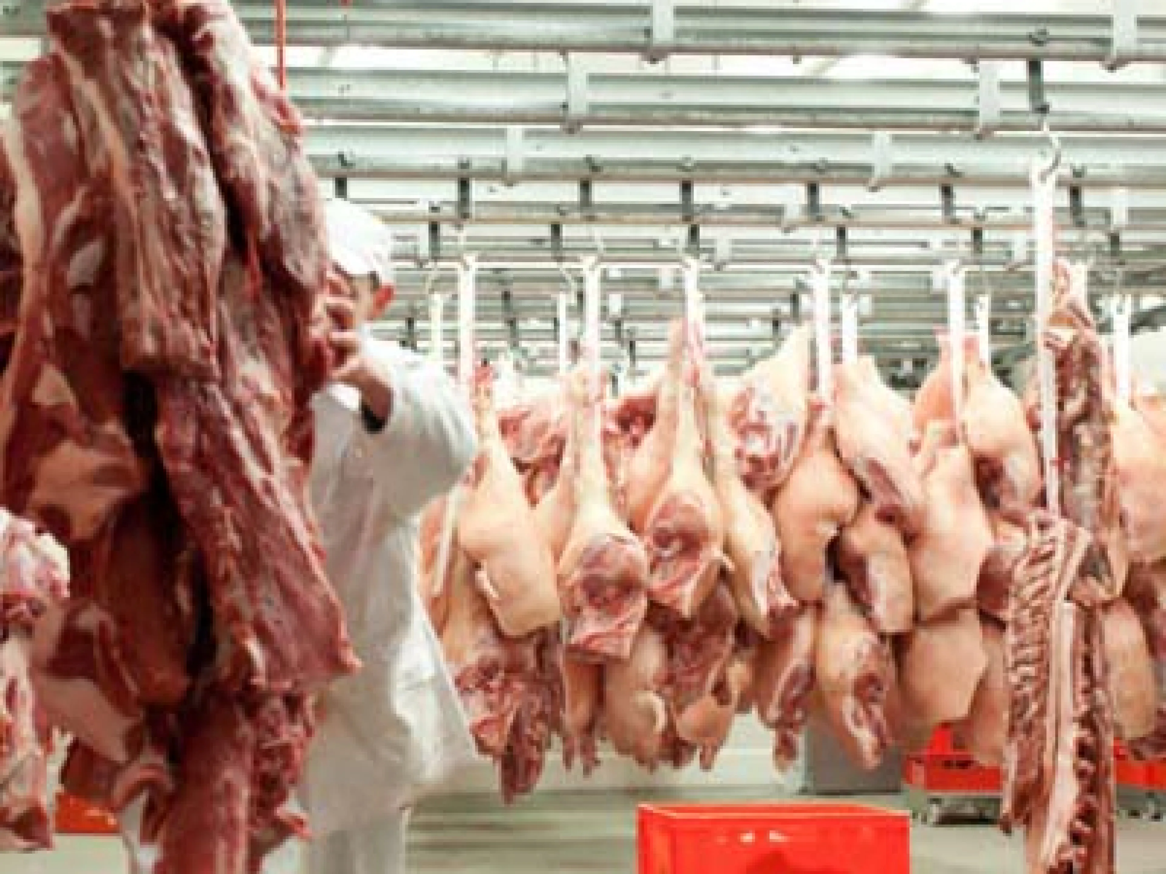 Gemeinsam mit ihrem Partner VNU Asia Pacific lanciert die Messe Frankfurt eine neue Fachmesse für die Lebensmittelindustrie - die Meat Pro Asia
