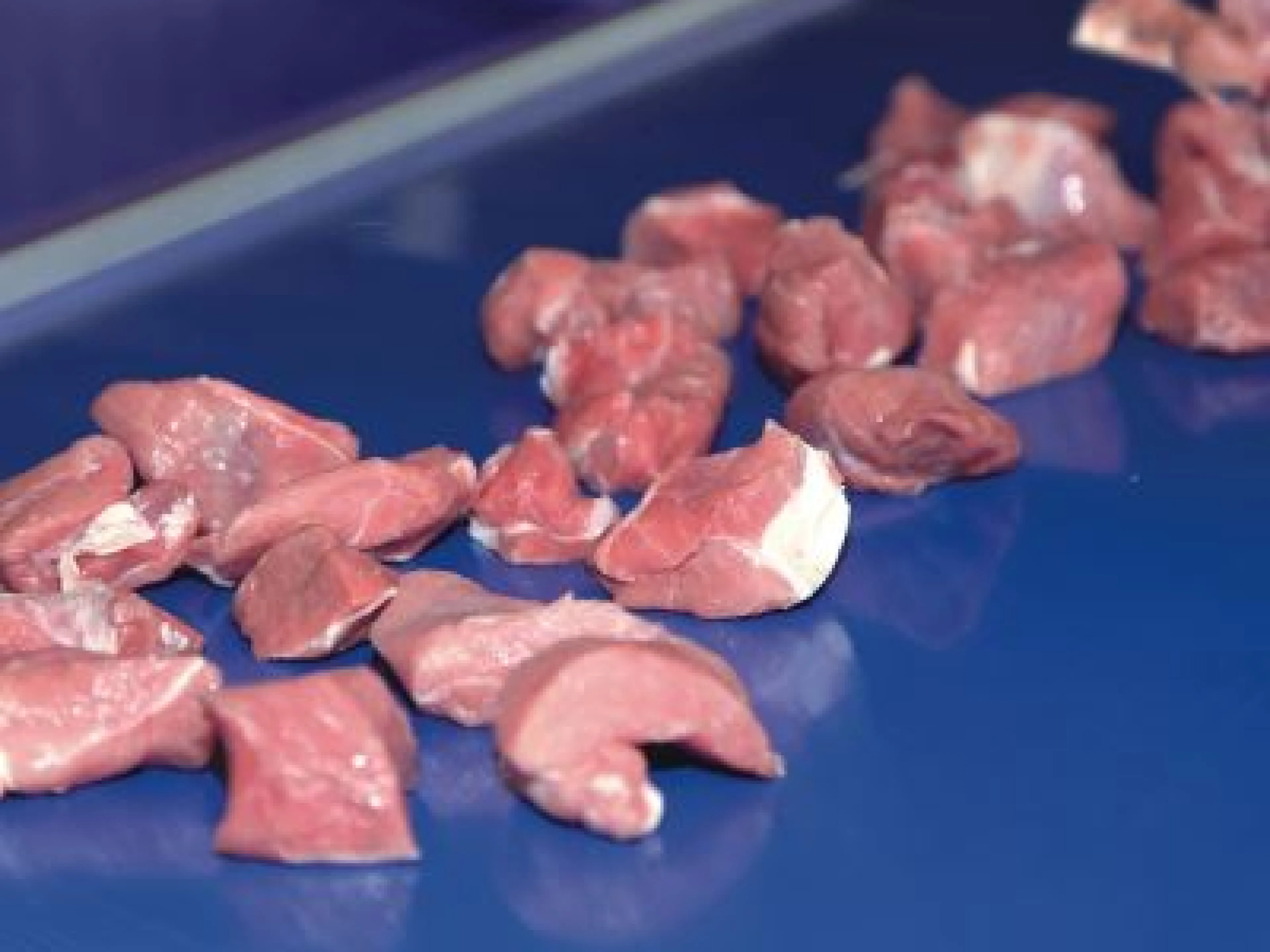 Habasit auf der Iffa 2019 in Frankurt am Main