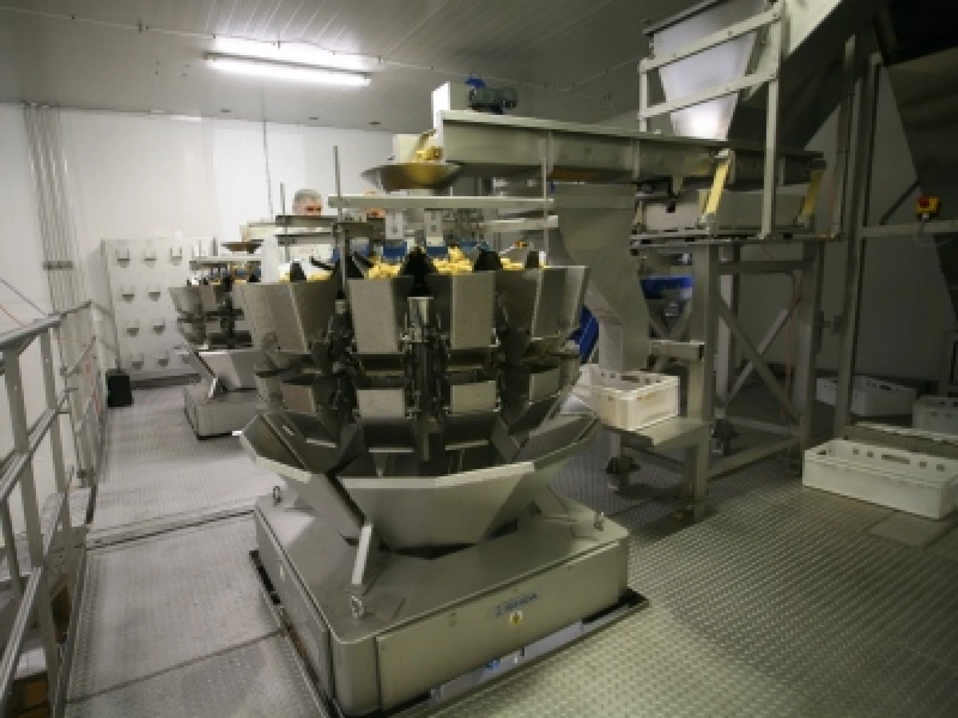 Die beiden Mehrkopfwaagen CCW-RV beschicken zwei parallel verlaufende Verpackungslinien