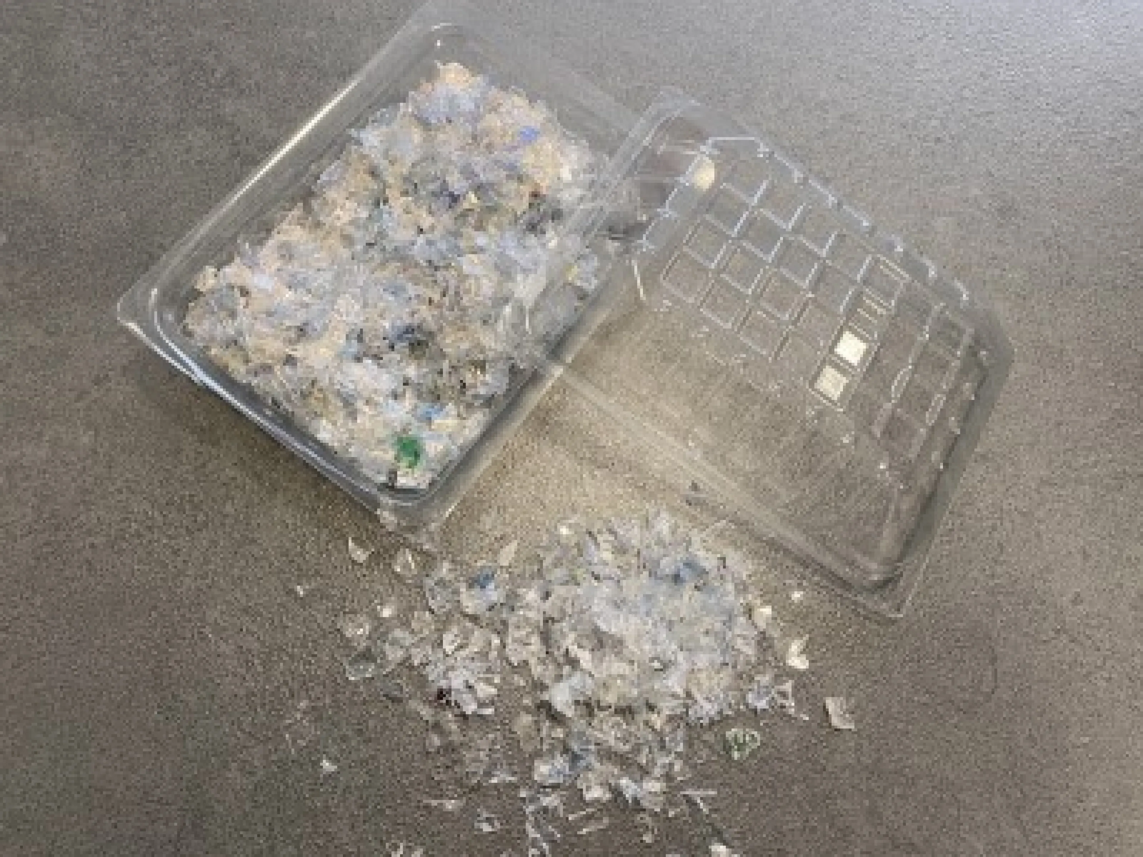 AMB Tray Revive: Kreislaufkonzept sorgt für nachhaltige Verpackungslösungen