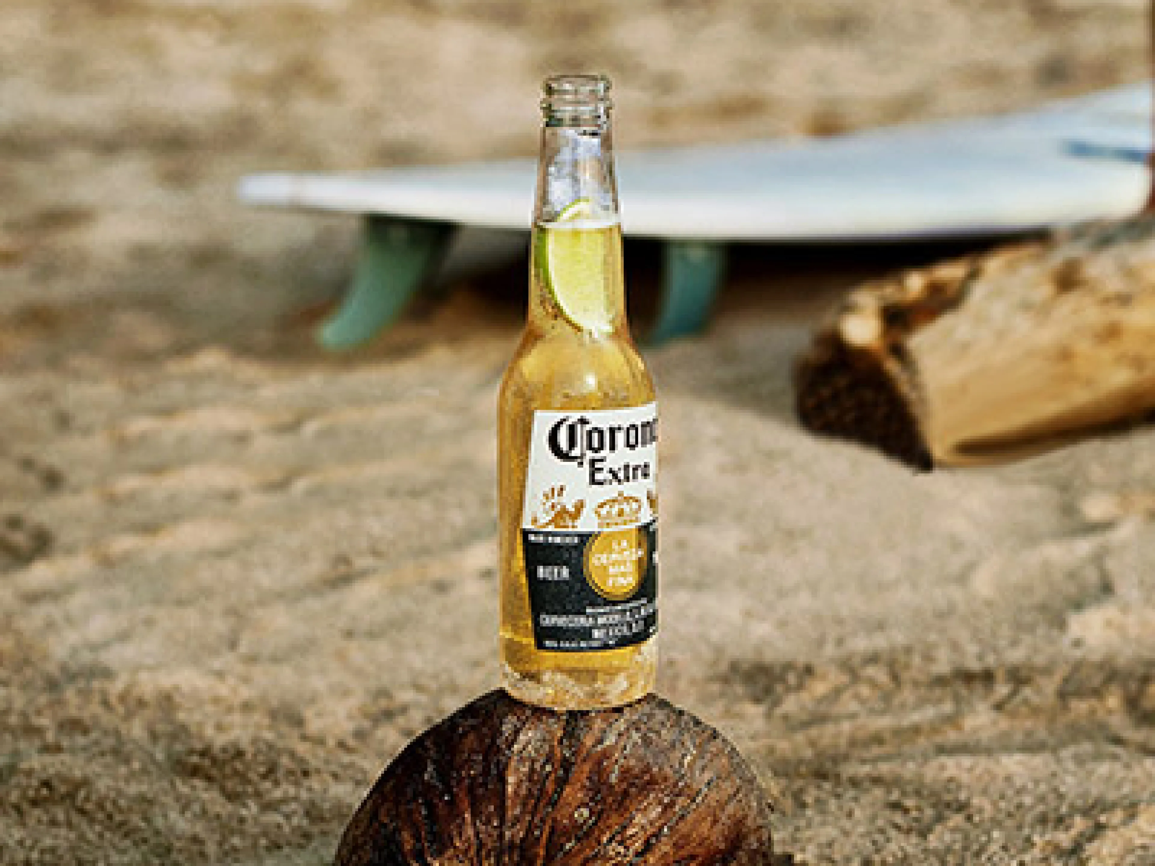 Corona Bier
