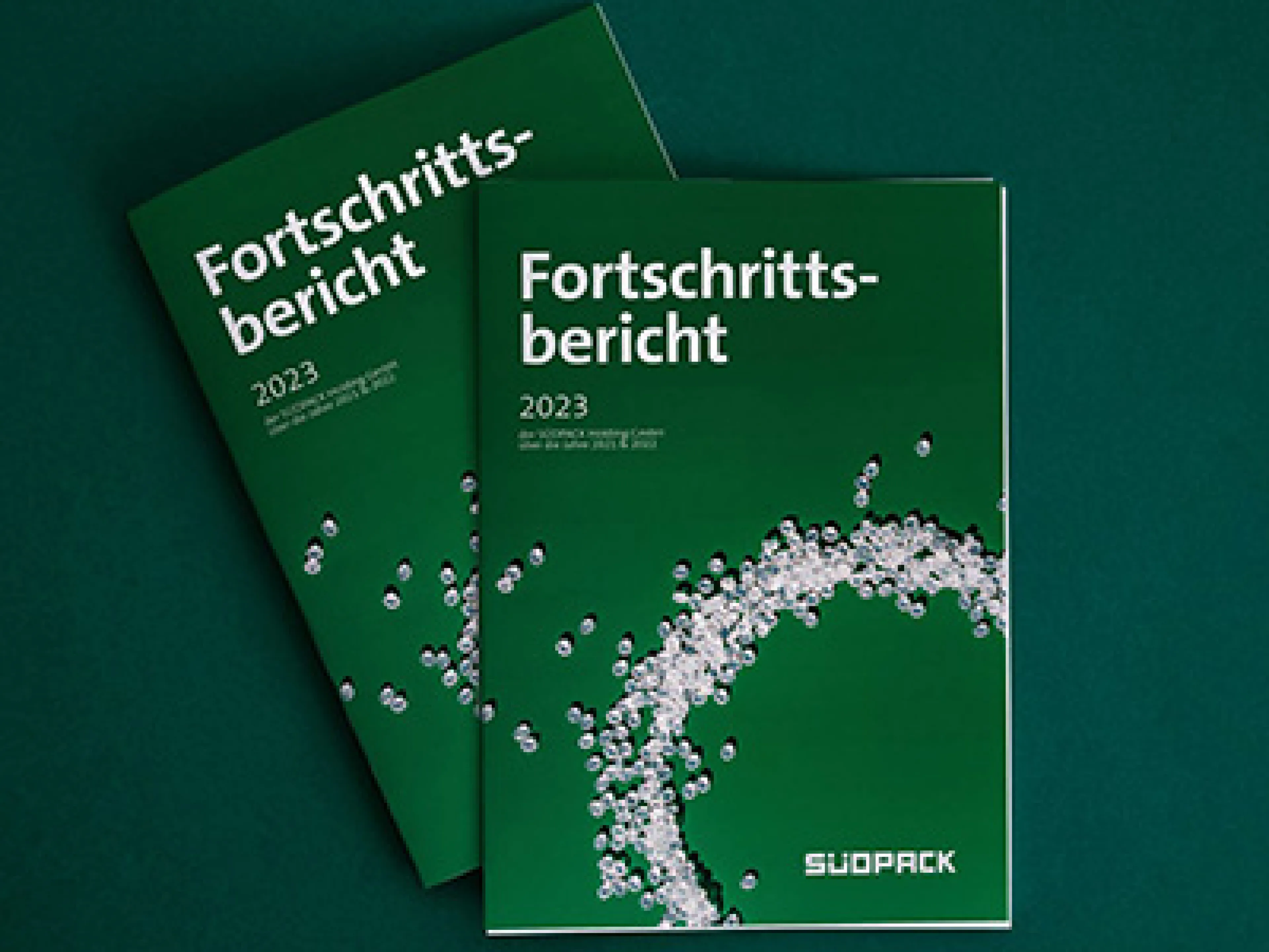 Südpack Fortschrittsbericht