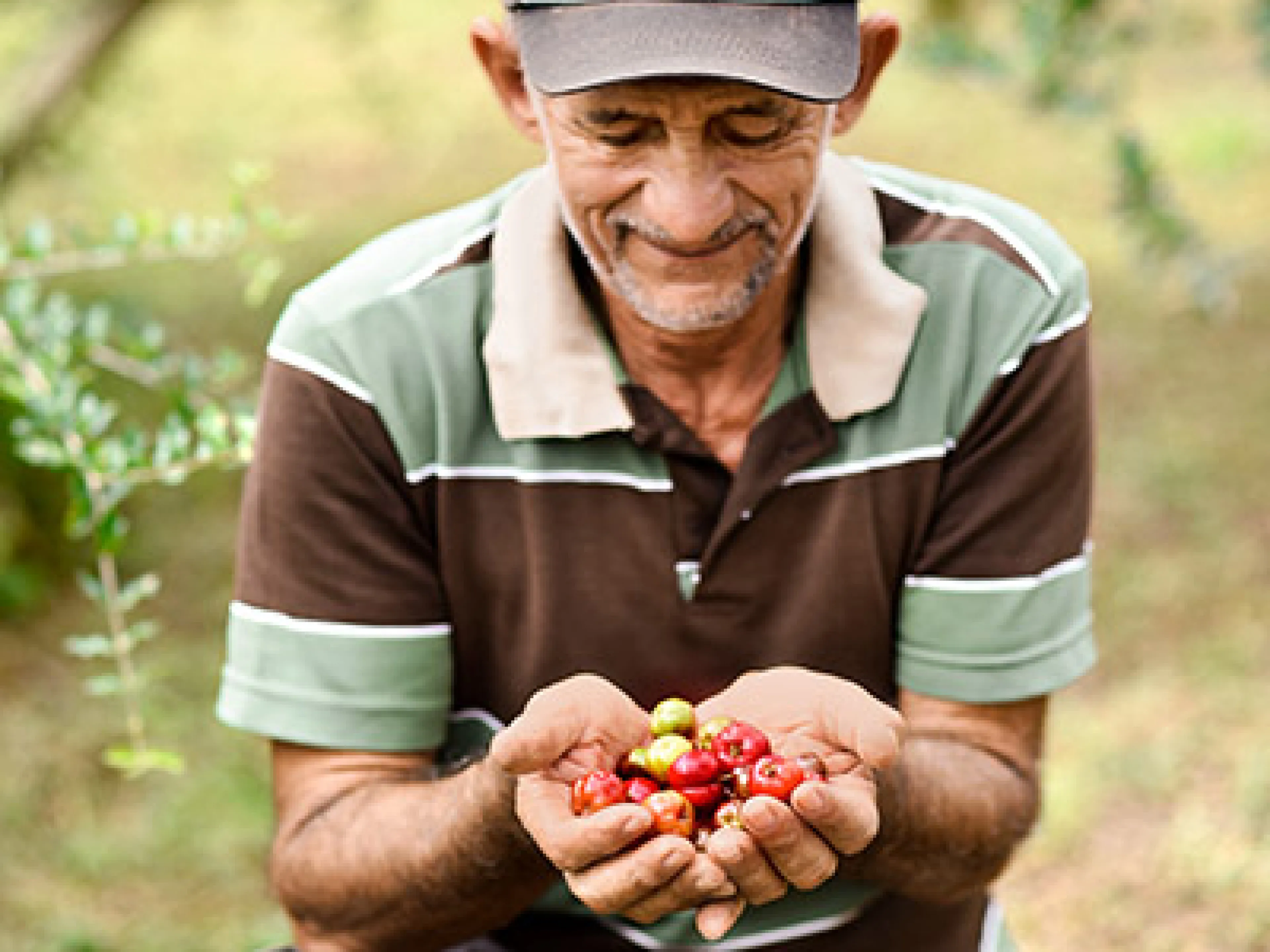 Landwirt als Lieferant für Symrise