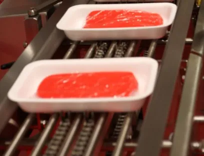 IFFA 2013 in Frankfurt