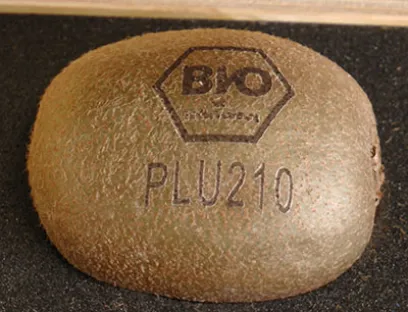 Das Whitepaper "Marking for Future" stellt ressourcenschonende Möglichkeiten der Kennzeichnungstechnik vor, Bilder: Bluhm Systeme Natural Labeling einer Kiwi von Bluhm Systeme