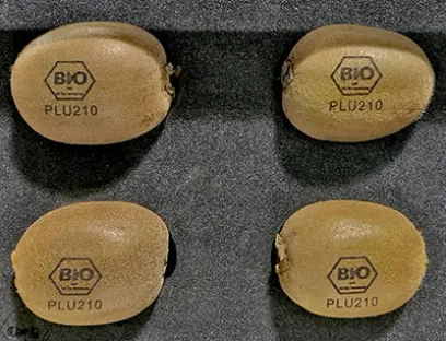 Laserkennzeichnung benötigt keinerlei Verbrauchmaterialien, wie Tinte oder Papier. Damit entfallen Trägermaterial oder Abfall