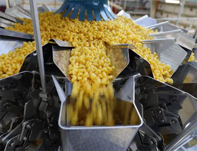 Nudeln im Fluss auf der Mehrkopfwaagen „CCW-RVE Enhanced" von Ishida