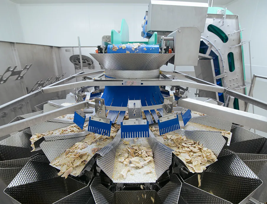 Die Wägetechnik, eine Mehrkopfwaage und eine Kontrollwaage, kommt in der neuen Verpackungslinie von Ishida