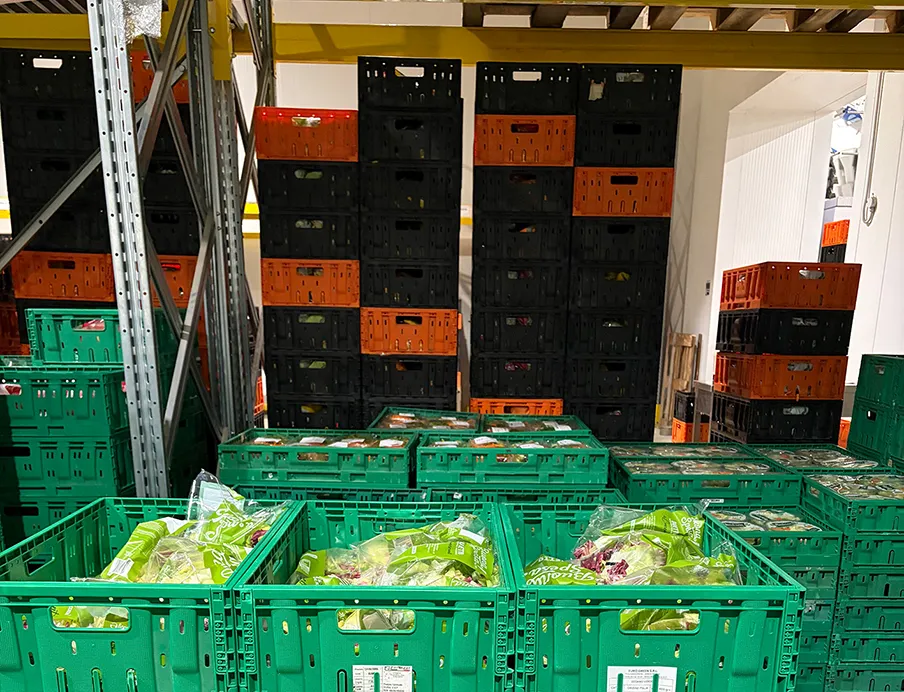 Mehrwegtransportverpackungen