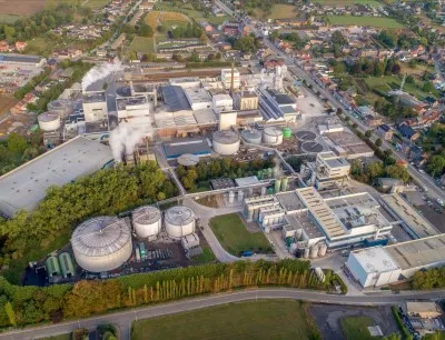 Seit 1992 stellt das Werk von Beneo in Oreye pflanzliche Präbiotika aus der Zichorienwurzel her