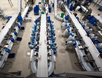Sortieranlagen für Geflügelprodukte bei Almarai, Bild: Ishida Sortieranlagen für Geflügelprodukte bei Almarai