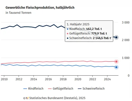 Fleischproduktion in Deutschland: Im ersten Halbjahr 2025 ist die Schweinefleischproduktion leicht gestiegen, die Rindfleischproduktion gesunken. Die Menge an Geflügelfleisch hat sich kaum verändert